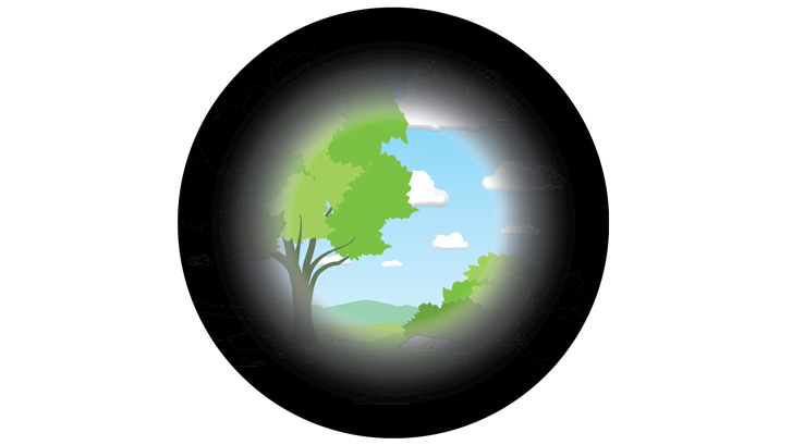 Retinitis pigmentosa (RP) påverkar först det perifera seendet och synen upplevs då som om man ser genom en smalt rör (tunnelseende).